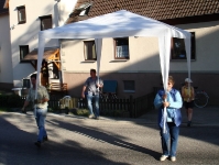 Maibaum 2007