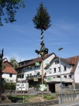 Maibaum 2007