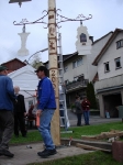 Maibaum 2008