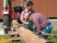 Maibaum 2010