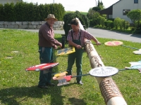 Maibaum 2010