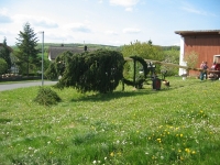 Maibaum 2010