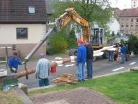 Maibaum 2010