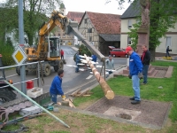 Maibaum 2010