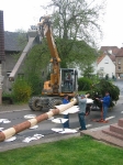 Maibaum 2010