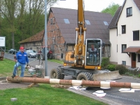 Maibaum 2010