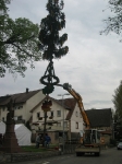 Maibaum 2010