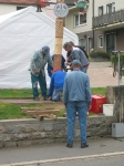 Maibaum 2010