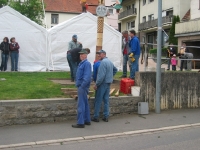 Maibaum 2010