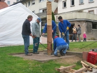 Maibaum 2010