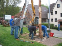 Maibaum 2010