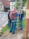 Maibaum 2010