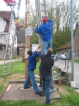 Maibaum 2010